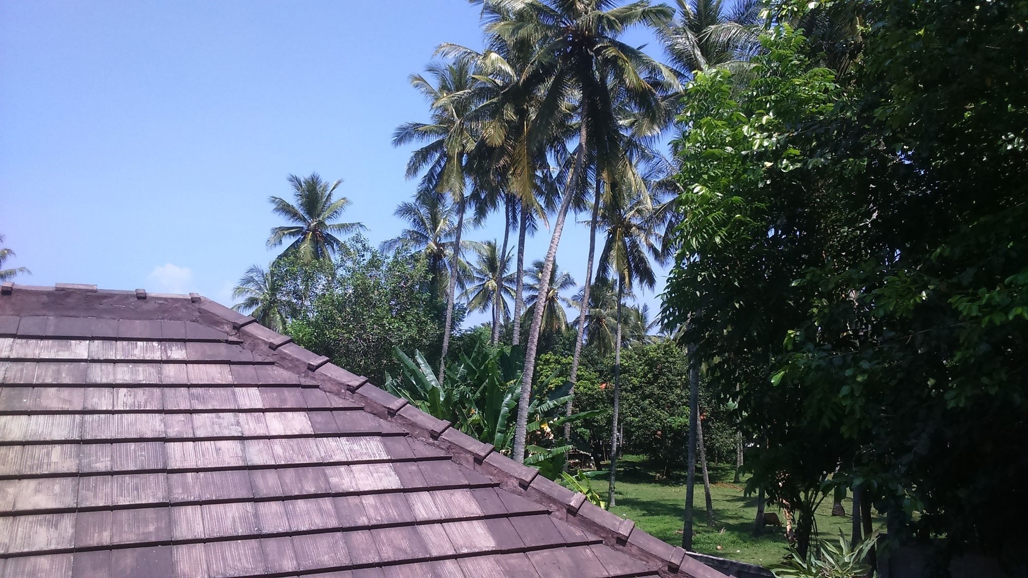 Senggigi Cottages Lombok Exterior foto
