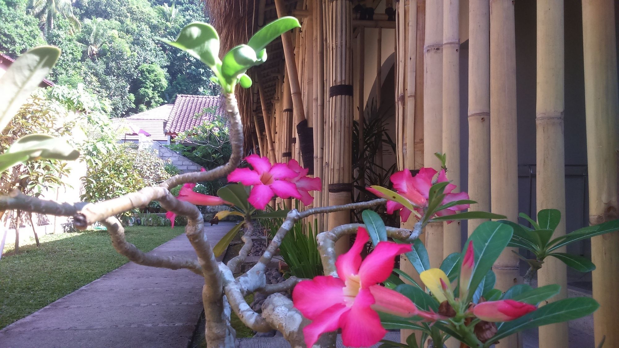 Senggigi Cottages Lombok Exterior foto